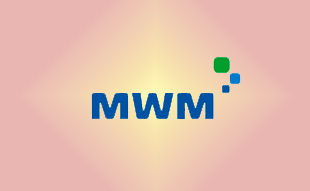 ✓ MWM 0310 1887 Запчасть MWM 